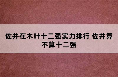 佐井在木叶十二强实力排行 佐井算不算十二强